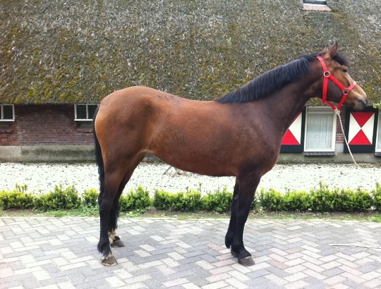 Saviera 28-04-2012