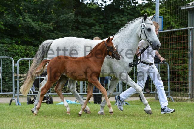 marrondales_lovesong_en_oak_forest_lavendel-5_20160703_1972998763